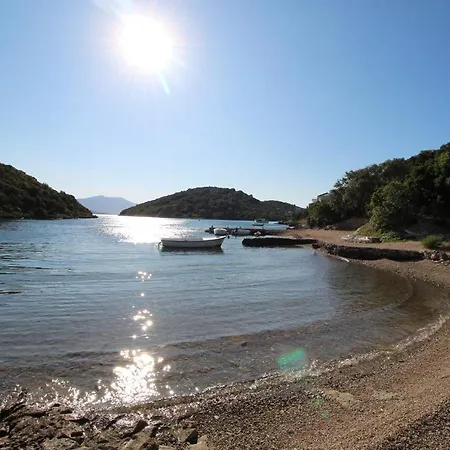 Ruzica * Zrnovo